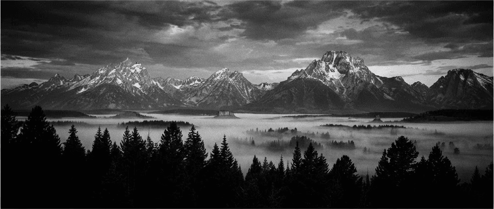 Jagged Teton mountain range at dawn above a dark treeline, in high-contrast monochrome