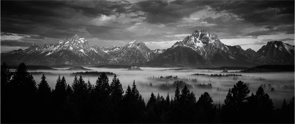 Jagged Teton mountain range at dawn above a dark treeline, in high-contrast monochrome